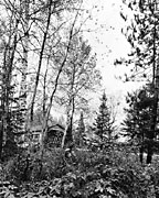 Covered Bridge